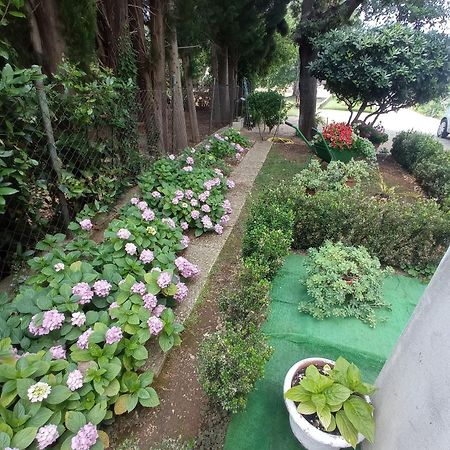 Apartmani Gaga Bibinje Ngoại thất bức ảnh
