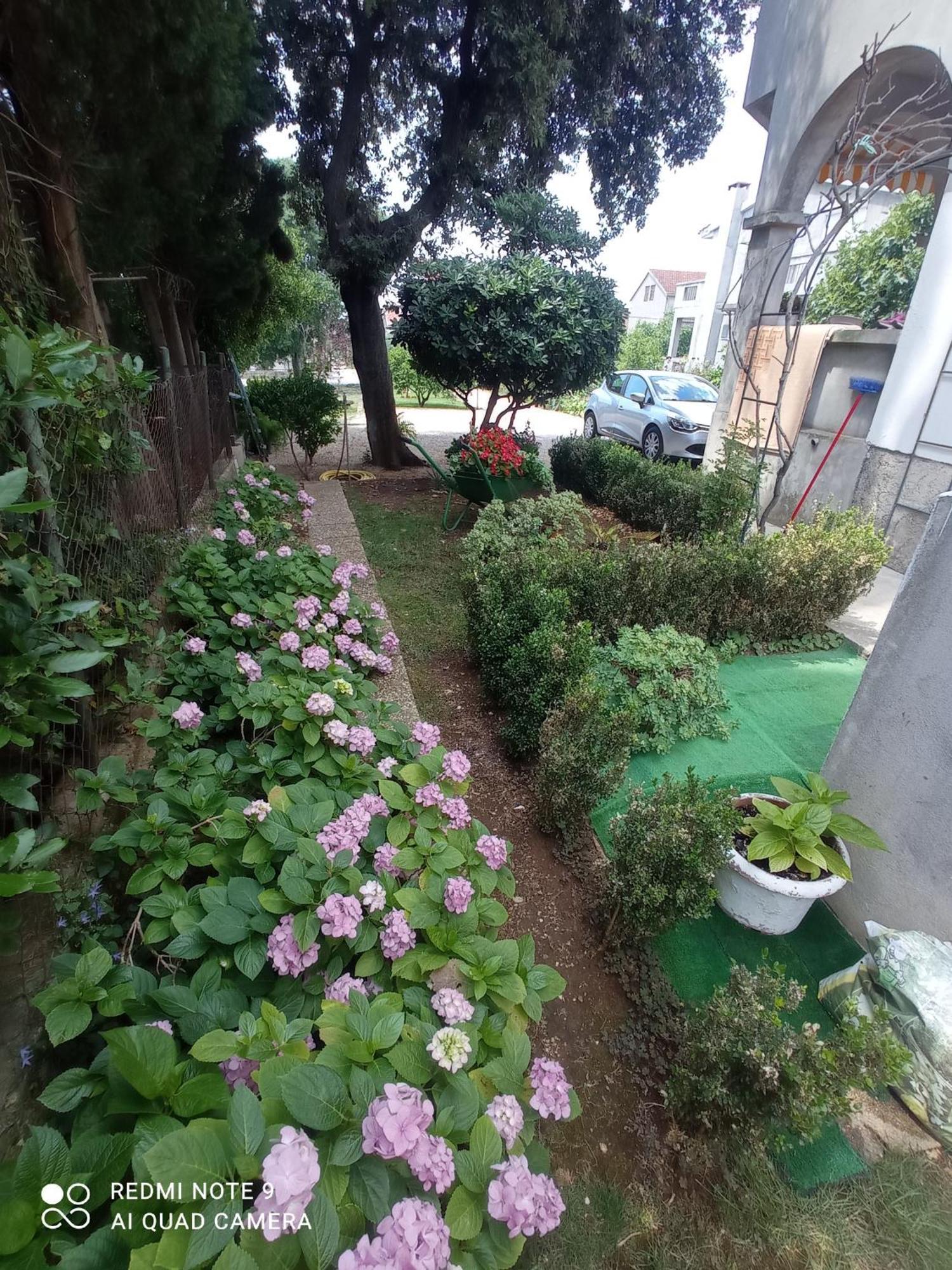 Apartmani Gaga Bibinje Ngoại thất bức ảnh
